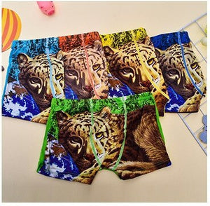 Boys Briefs (qty.5)