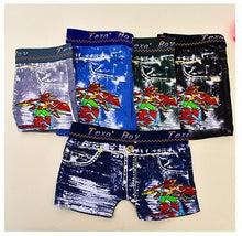 Load image into Gallery viewer, Boys Briefs (qty.5)